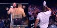 Undefeated UFC prospect Tai Tuivasa celebrates brutal knockout win by chugging beer from a shoe