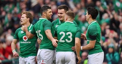 Joe Schmidt suggests Sean O’Brien and Garry Ringrose could return for Wales