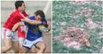 Páirc Uí Chaoimh was an absolute bloody state on Sunday