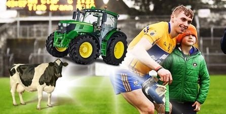 The benefits and hindrances for GAA playing farmers as Clare star McInerney reaps the rewards