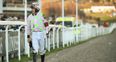 Ruby Walsh suspended for two days for excessive use of whip