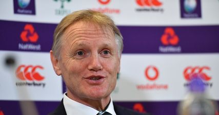 Ireland now need Joe Schmidt a lot more than he needs Ireland