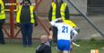 Maurice Shanahan sent off for moment of madness 20 seconds after he was brought on