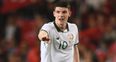 Declan Rice, looking like he was born in an Ireland shirt, played with his head and his heart against Turkey