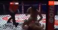 MMA ref Marc Goddard misses knockout and lets fighter pummel downed opponent