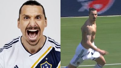 Yes, of course Zlatan Ibrahimovic scored a 40-yard volley on his LA Galaxy debut