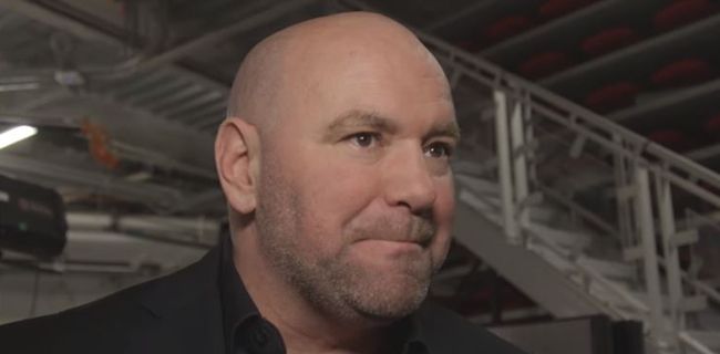 Dana White