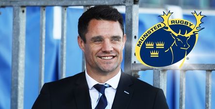 Dan Carter hails Munster fans for their pure class