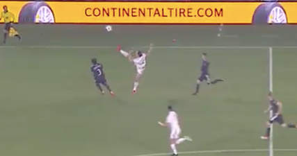 LA Galaxy fans losing it over Zlatan Ibrahimovic’s karate kick