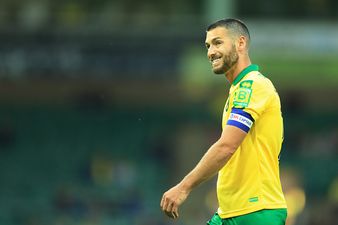 Norwich City to give Wes Hoolahan the fitting send off he deserves