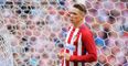 Fernando Torres could be in line for move to Newcastle