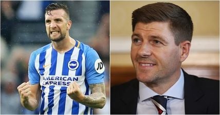 Steven Gerrard targets Shane Duffy’s understudy as his fourth Rangers signing