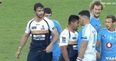 Brumbies hooker receives red card for ‘headbutting’ opponent