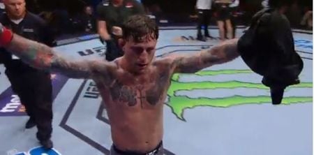 UFC lightweights would be fools to ignore undefeated star Gregor Gillespie’s rise