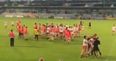 All hell breaks loose during Tyrone and Armagh brawl