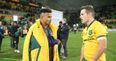 Michael Cheika blames Irish ‘king hit’ for Will Genia’s broken arm