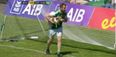 Everyone fell in love with the wee pitch invader during Ulster final