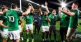 Few arguments about Ireland’s Player of the Series but CJ Stander pushed him close