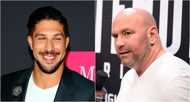 Brendan Schaub