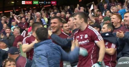 Damien Comer went nuts on Galway bench as they rout hapless Kerry