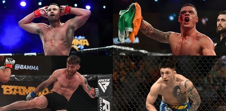 Bellator are after signing 16 fighters who fight out of Ireland