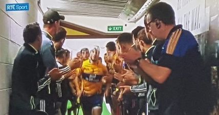 Clare’s half time stunt didn’t impress hurling purists