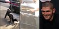 Khabib Nurmagomedov pisses himself laughing as cousin pays homeless people to do pushups