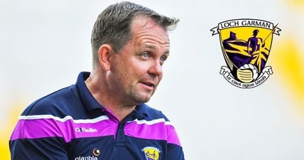 BREAKING: Davy Fitzgerald to stay on as Wexford manager