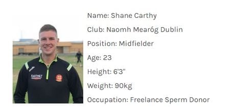 Never has a Gaelic football team had a better set of ‘occupations’