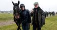 Willie Mullins to send strong team to Melbourne Cup in search of glory