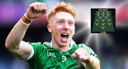 Seven Limerick men make our All-Star hurling team of 2018