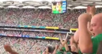 Fan footage shows Limerick fans erupt after Shane Dowling goal