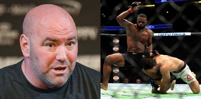 Dana White