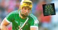 Only four Limerick men make The GAA Hour team of the year