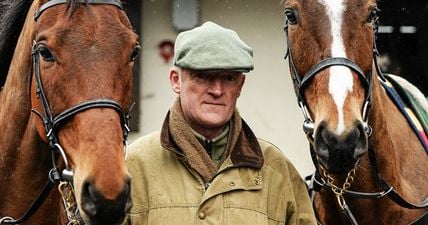 Stuck for work down around Carlow this winter? Willie Mullins has your back