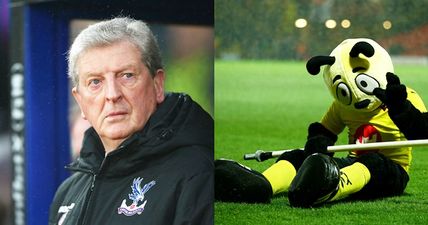 Roy Hodgson lets all his anger out…on Watford’s mascot