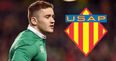 Paddy Jackson’s Perpignan hammered by Stade Francais on Top 14 debut