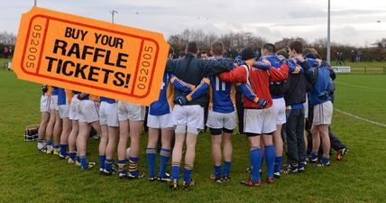 Clubs in Wicklow team up for easily the best raffle prize ever