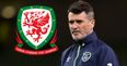 Neil Taylor reveals Roy Keane conversation outside Ireland dressing room after Coleman leg break