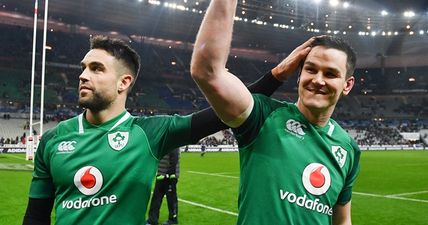 Ireland’s 2019 World Cup warm ups confirmed, including Aviva Stadium send-off