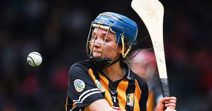 Every camóg and hurler will relate to Kilkenny star on breaking windows at home