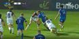 James Lowe finishes off brilliant Leinster try after great Jordan Larmour skill