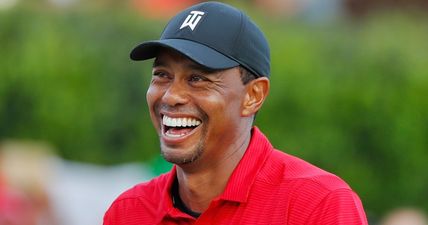 Tiger Woods delivers sight so many golf fans feared was gone forever