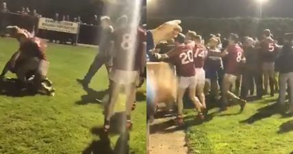 Disturbing scenes as brawl escalates into crowd during Slaughtneil Ballinderry reserve game