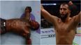 Dominick Reyes got both a knockout and a unanimous decision win at UFC 229