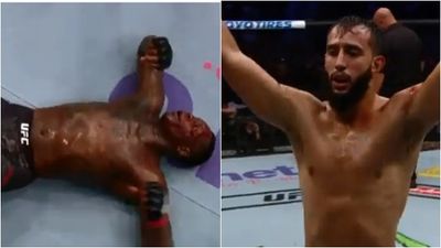 Dominick Reyes got both a knockout and a unanimous decision win at UFC 229