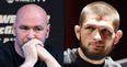 Dana White outlines punishment Khabib Nurmagomedov should receive for UFC 229 melee