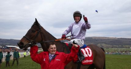 From Grand National winner to Showjumping champion, Paul Carberry is some horseman