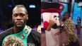 Deontay Wilder apologises after “breaking mascot’s jaw” live on television