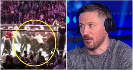 John Kavanagh also took a smack during UFC 229 meleé